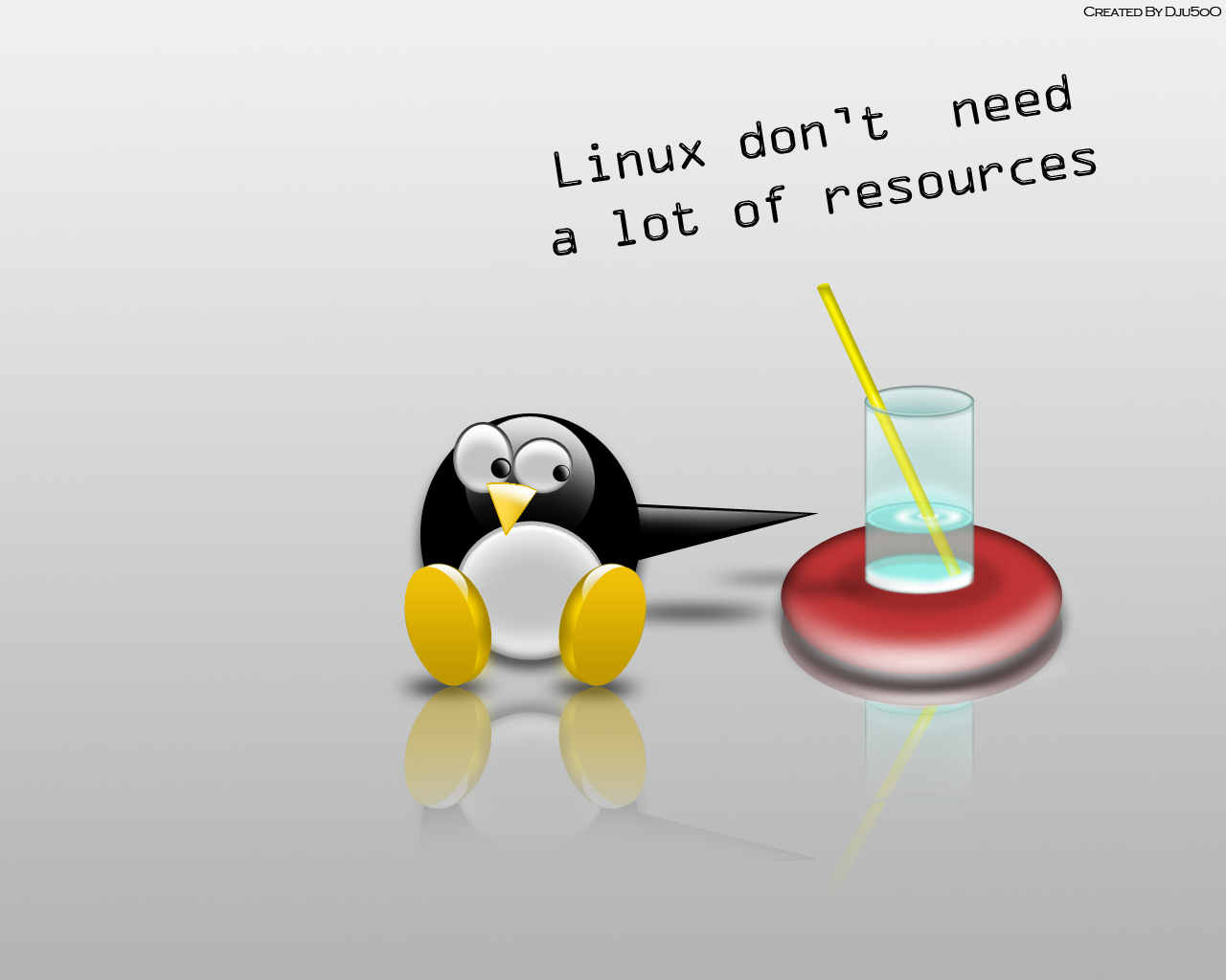 Fonds d'cran Informatique Linux C'est qu'il lui faut peut  notre Pinguin pour vivre dans son environement !