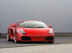 Fonds d'cran Voitures Lamborghini Gallardo GTV Red IMSA (2007)