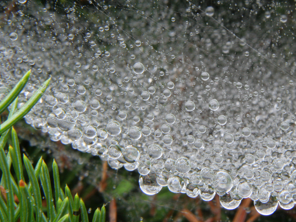 Fonds d'cran Nature Eau L'univers dans une Toile