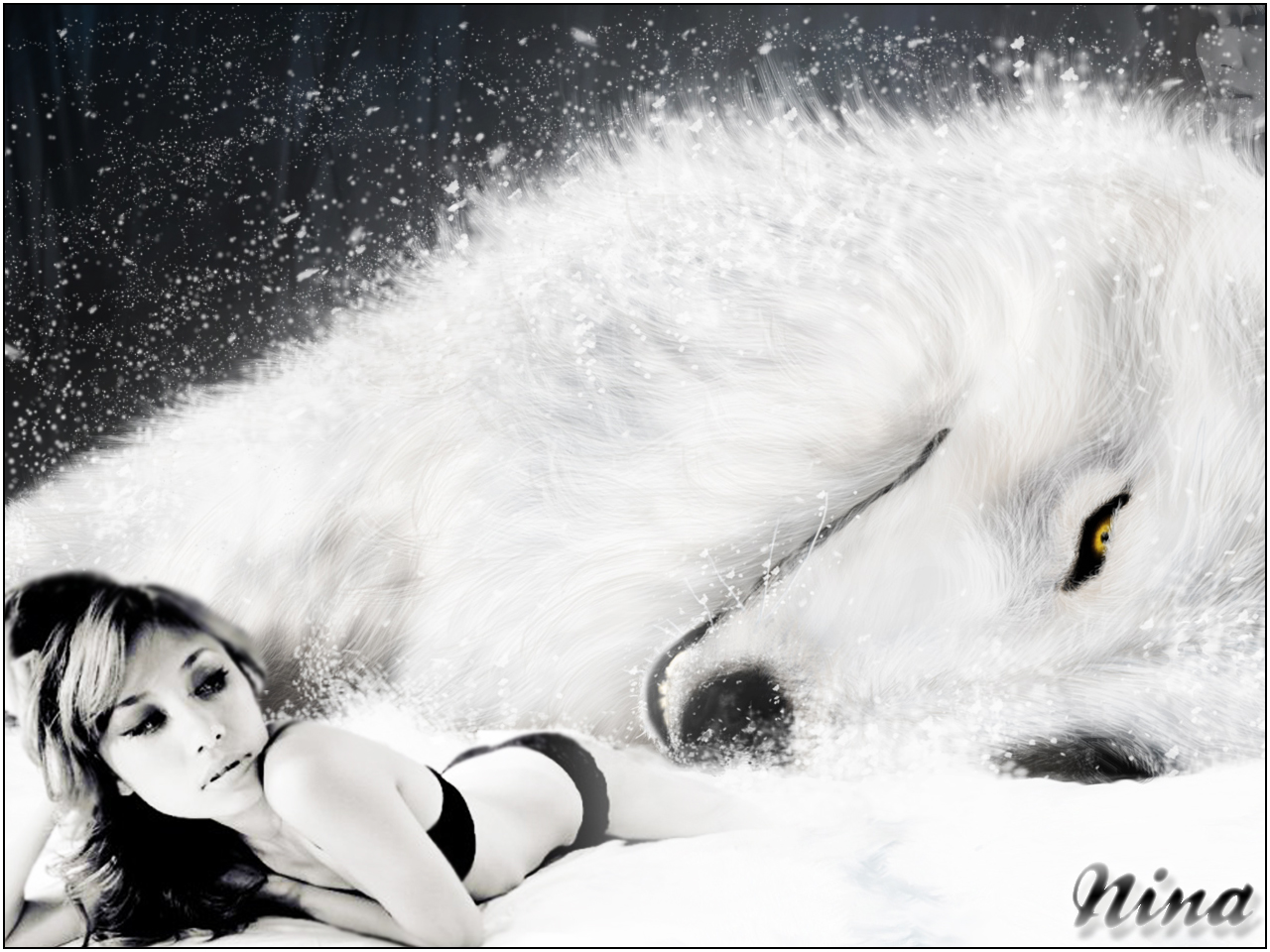 Fonds d'cran Clbrits Femme Divers Snow wolf nina