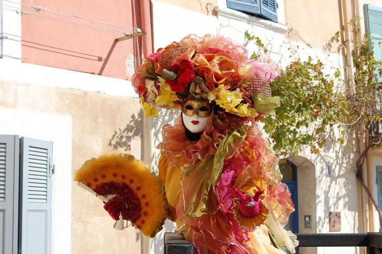 Fonds d'cran Hommes - Evnements Carnavals - Costumes Flneries au Miroir