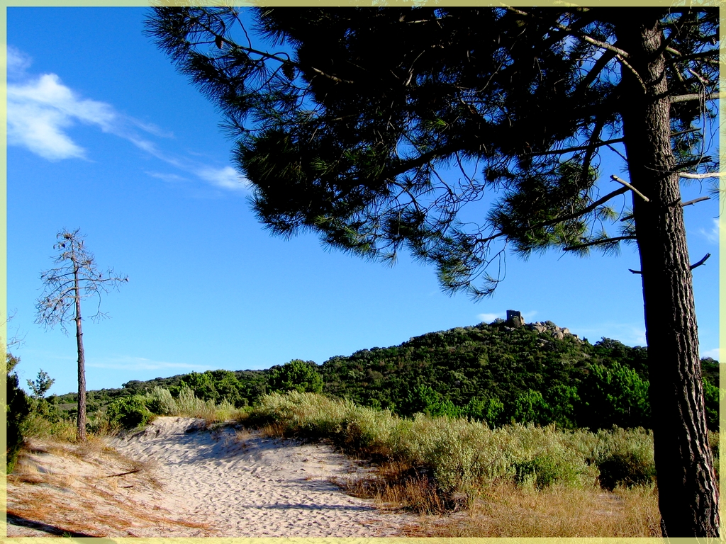 Wallpapers Trips : Europ France > Corsica plage de St Cyprien en Corse