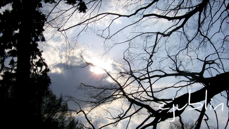 Fonds d'cran Nature Ciel - Nuages un cache cache trs arien