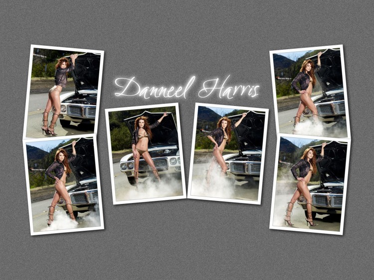 Fonds d'cran Clbrits Femme Danneel Harris Wallpaper N212811