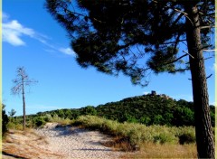 Fonds d'cran Voyages : Europe plage de St Cyprien en Corse