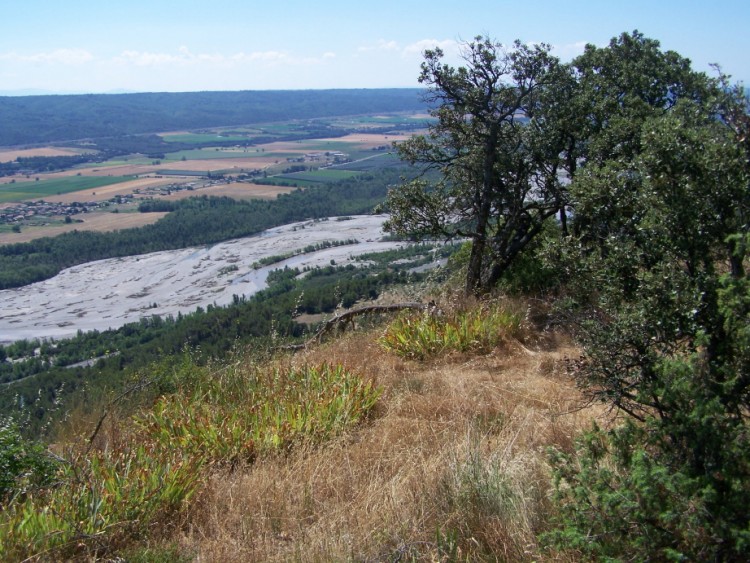 Fonds d'cran Nature Fleuves - Rivires - Torrents La Durance