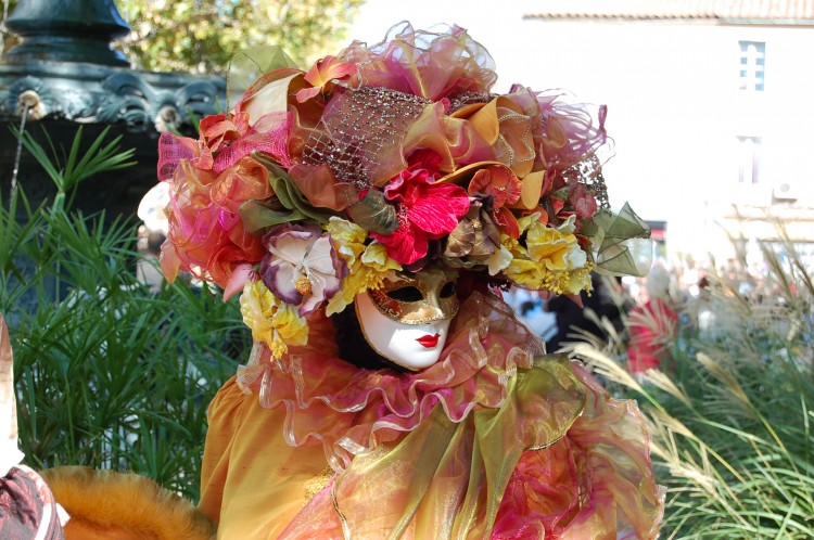 Fonds d'cran Hommes - Evnements Carnavals - Costumes Flneries au Miroir