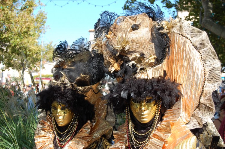 Fonds d'cran Hommes - Evnements Carnavals - Costumes Flneries au Miroir