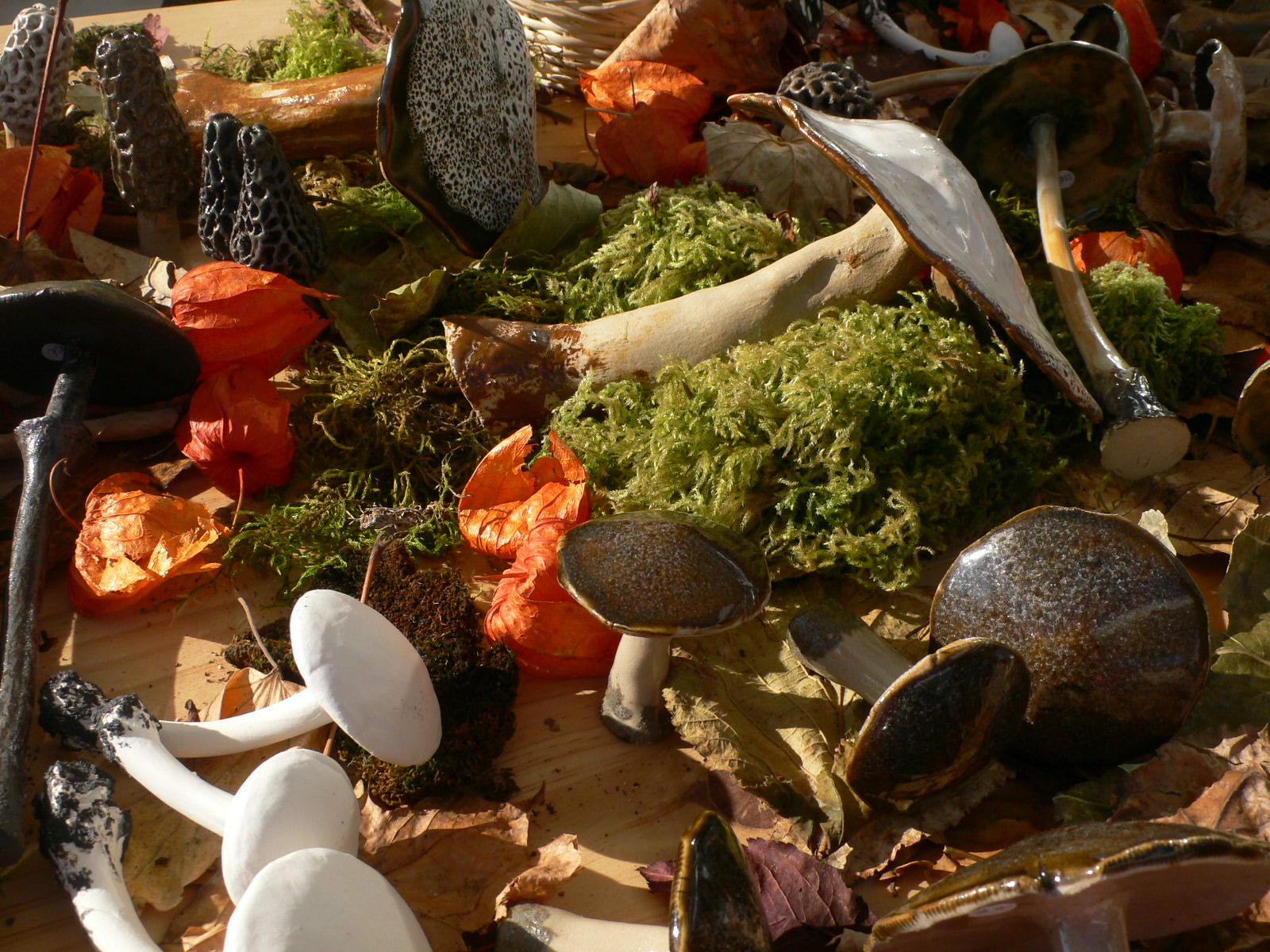 Fonds d'cran Nature Champignons Bonne cueillette de champignons, pas  consommer : ils sont en poterie !