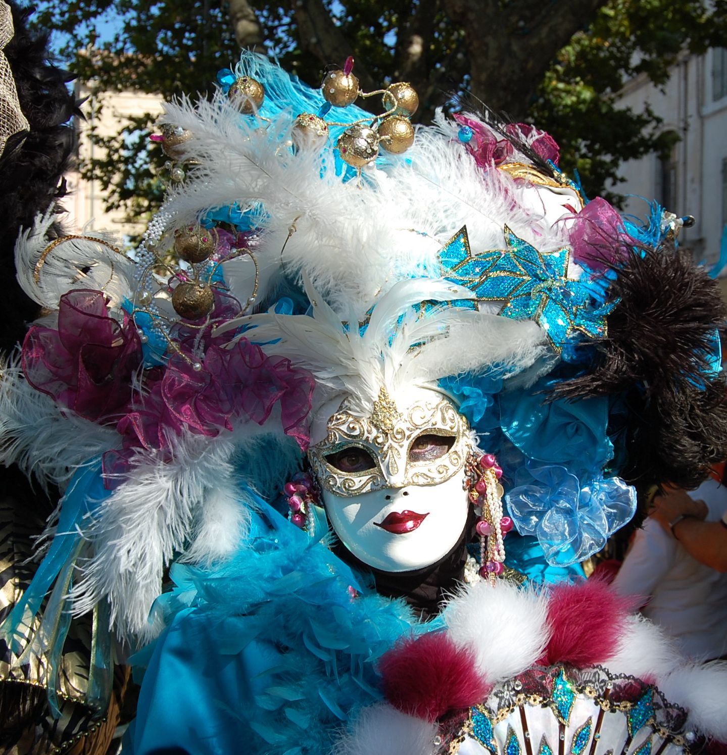 Fonds d'cran Hommes - Evnements Carnavals - Costumes Flneries au Miroir