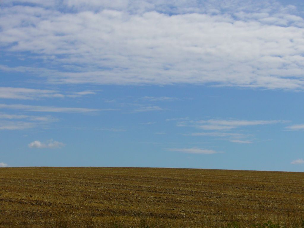 Wallpapers Nature Fields champ coup du calvados 14