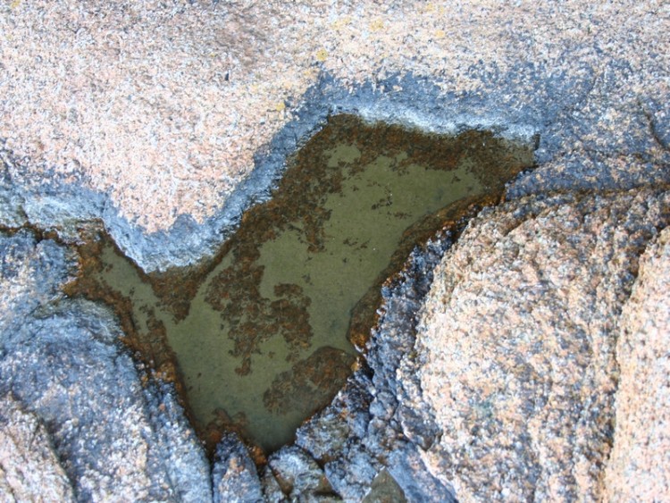 Wallpapers Nature Rocks - Stones - Sand une petite flaque d'eau de mer