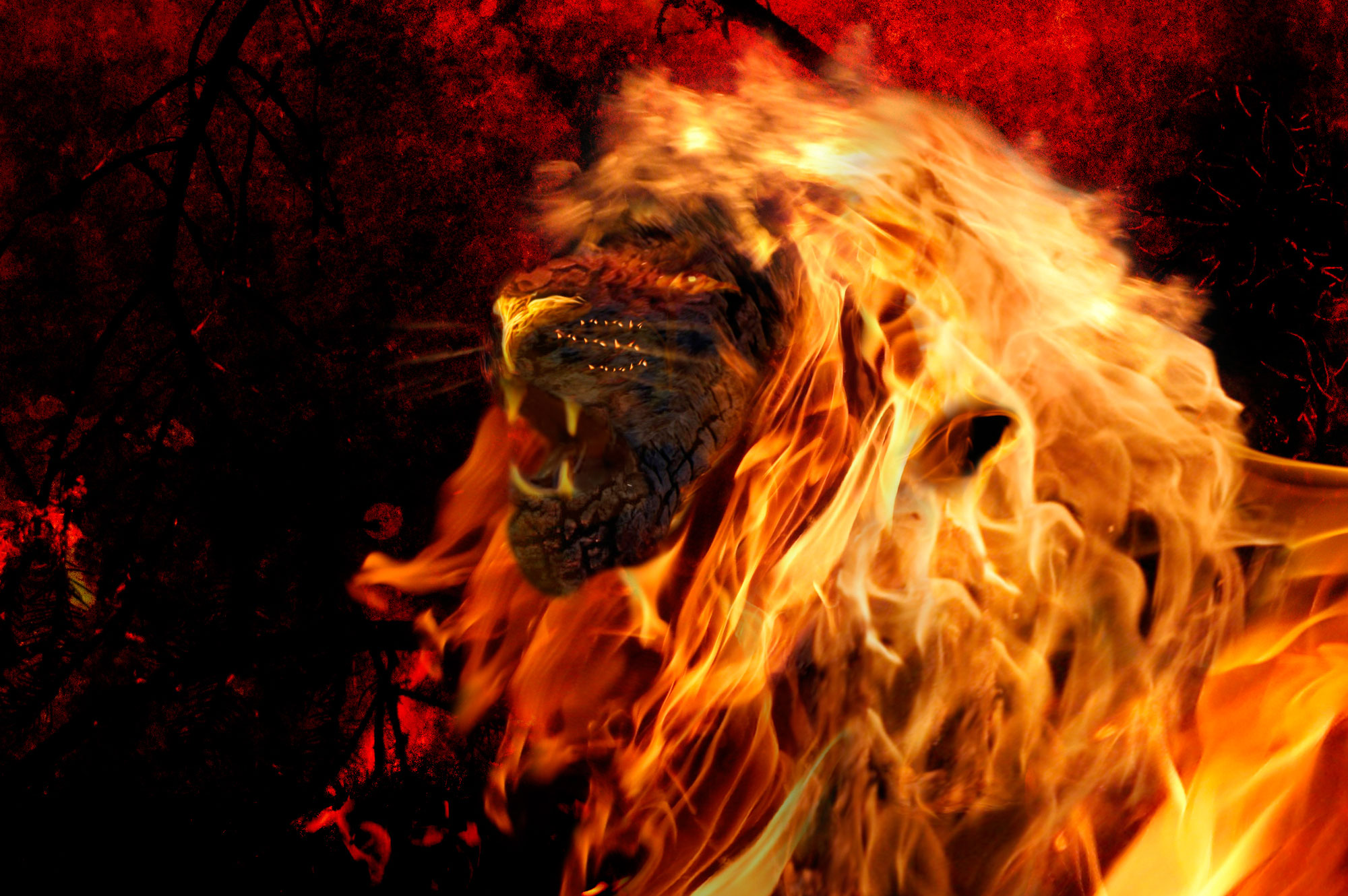 Fonds d'cran Art - Numrique Animaux Fire lion