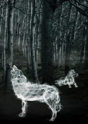 Wallpapers Digital Art Animals Smoke Wolves