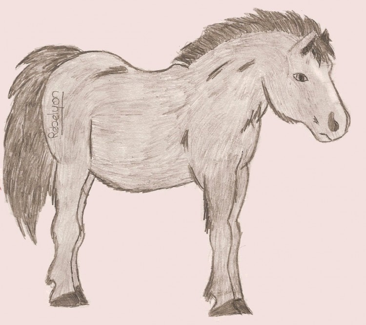 Wallpapers Art - Pencil Animals - Horses Mon Poney ''Rebelyon''