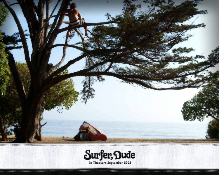 Wallpapers Movies Surfer, Dude Wallpaper N213730