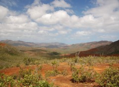 Fonds d'cran Nature Yat Nelle Caldonie