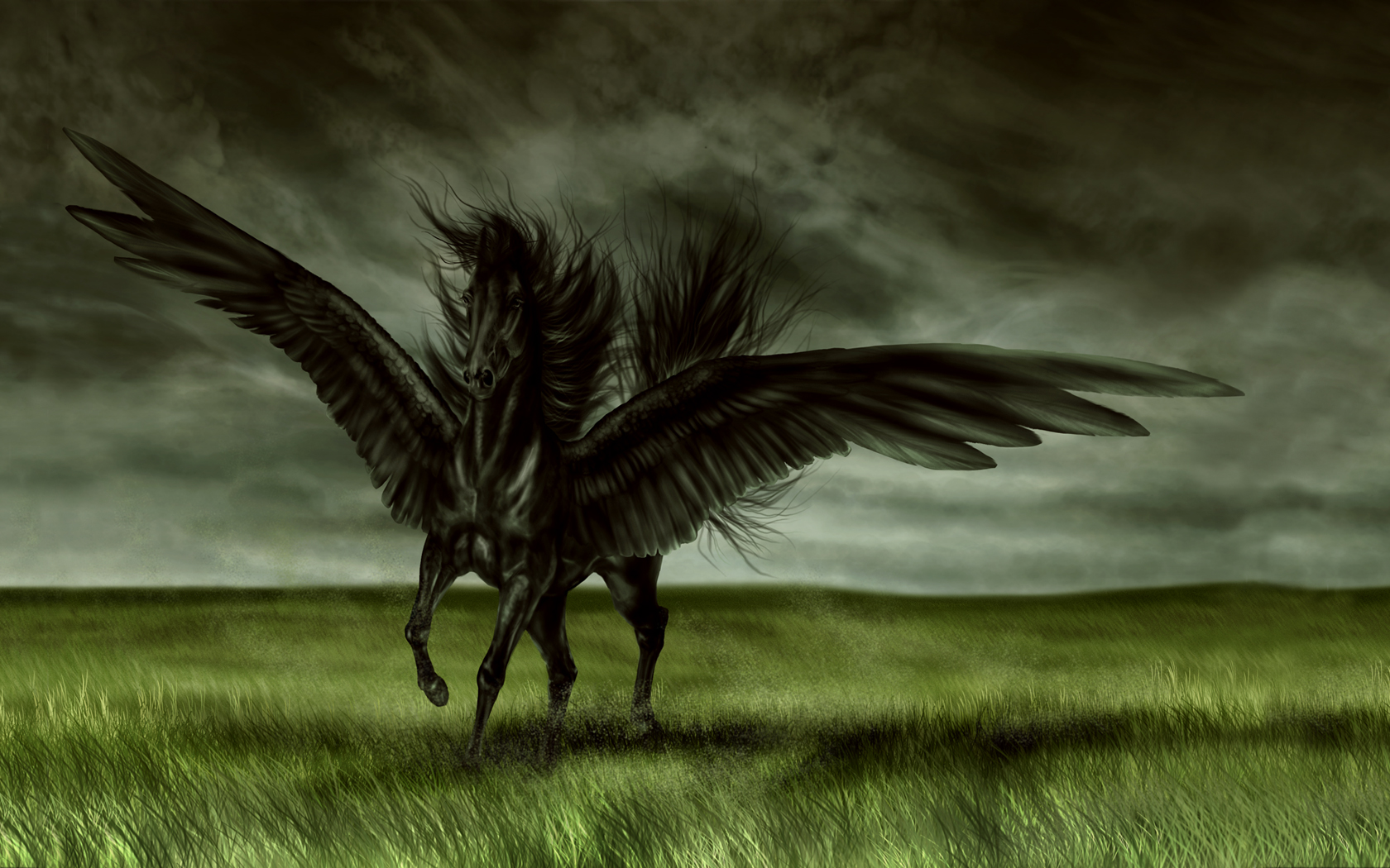 Wallpapers Digital Art Animals Cheval aill