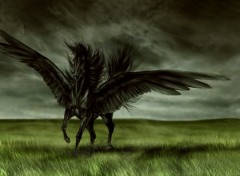 Wallpapers Digital Art Cheval aill