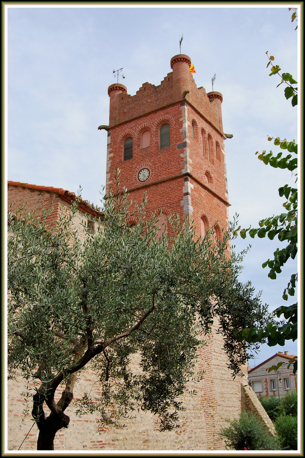 Fonds d'cran Constructions et architecture Edifices Religieux Eglise et olivier - Canet-village (66)