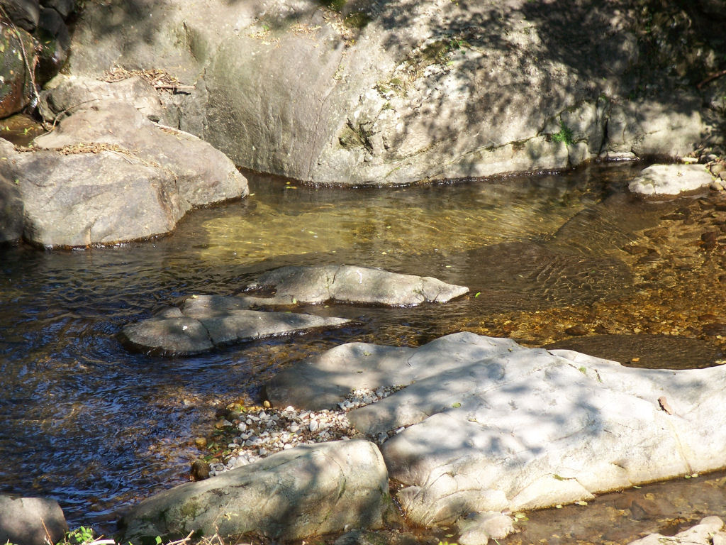 Fonds d'cran Nature Eau le sandron