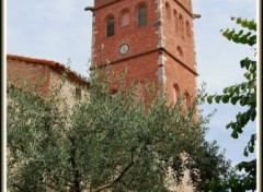 Fonds d'cran Constructions et architecture Eglise et olivier - Canet-village (66)