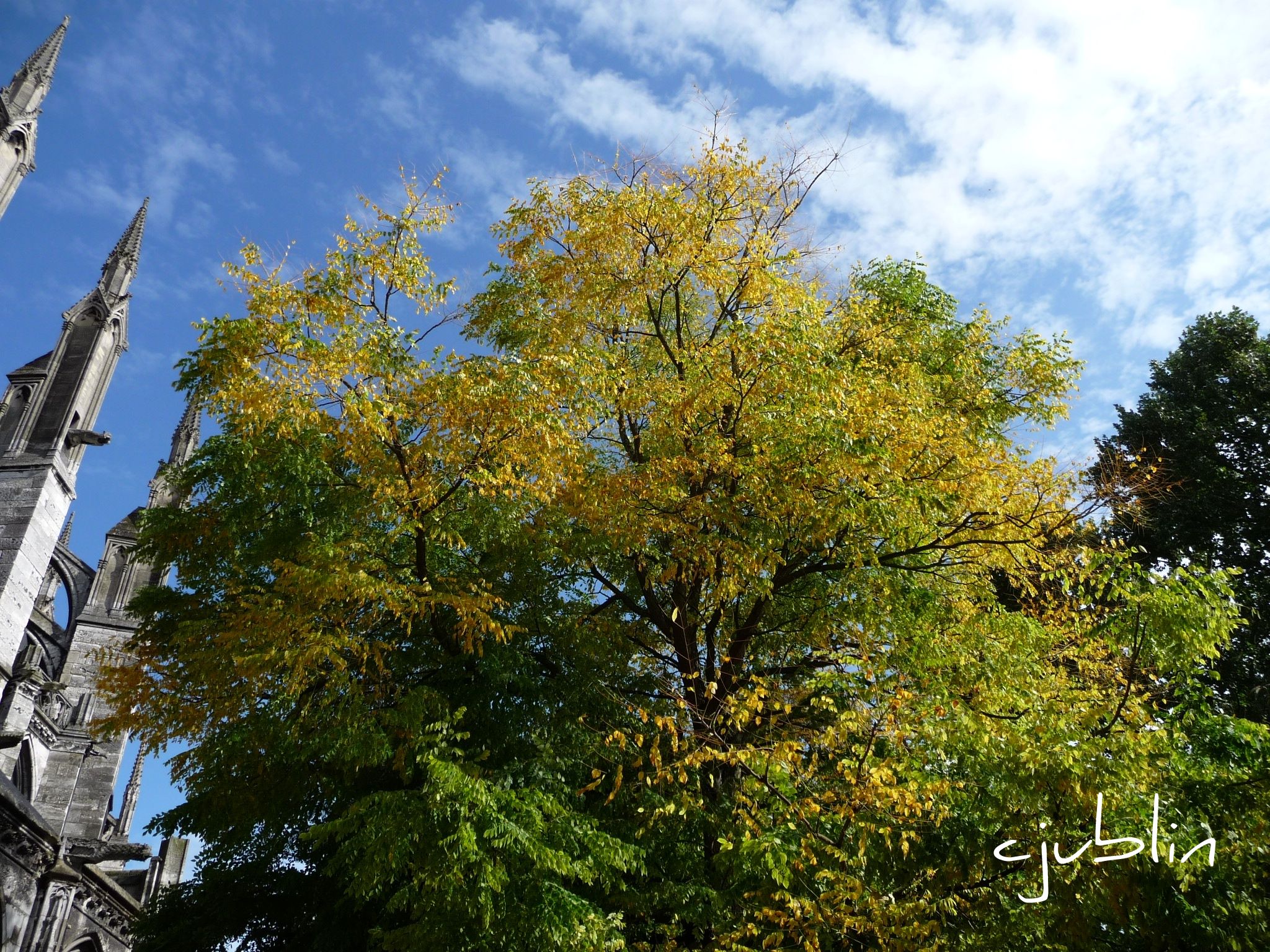 Wallpapers Nature Trees - Forests l'automne dans sa splendeur