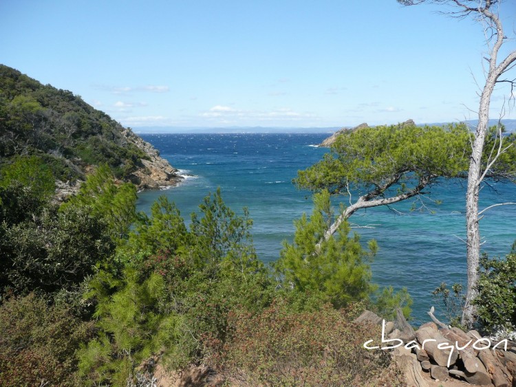 Fonds d'cran Nature Mers - Ocans - Plages une mer bleue si verdoyante