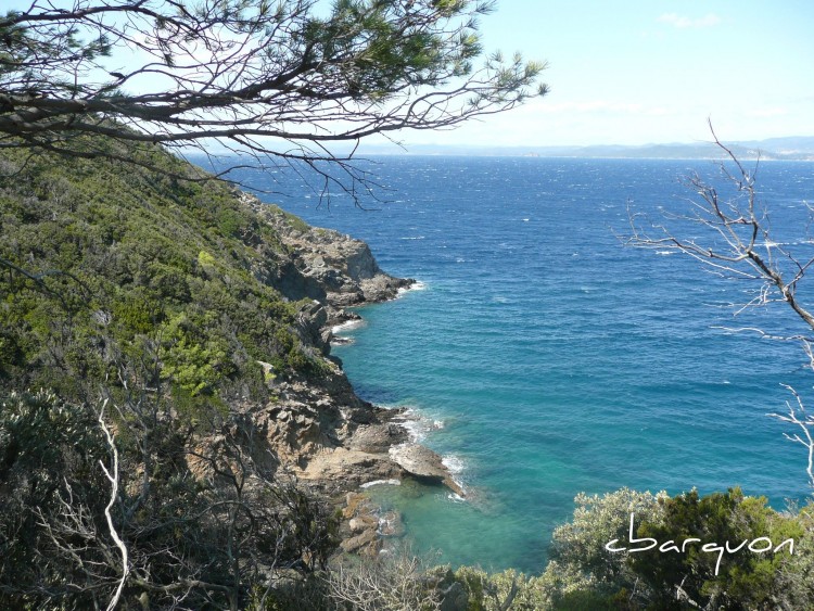 Fonds d'cran Nature Mers - Ocans - Plages une cte sauvage