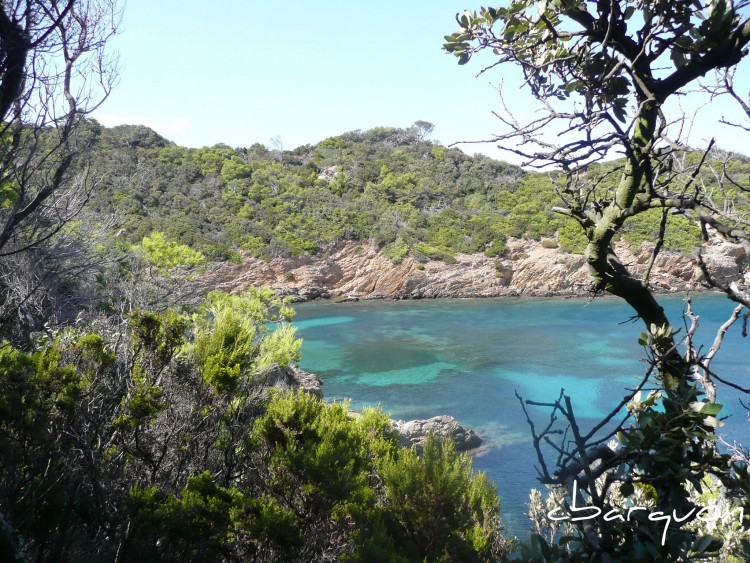 Fonds d'cran Nature Mers - Ocans - Plages un petit coin de paradis