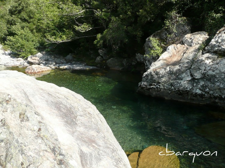 Fonds d'cran Nature Lacs - Etangs de l'eau fraiche et limpide