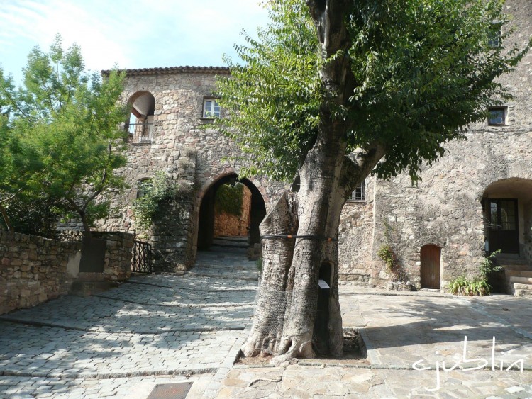 Fonds d'cran Constructions et architecture Maisons un arbre bien plac