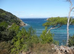 Fonds d'cran Nature une mer bleue si verdoyante