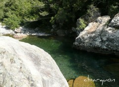 Fonds d'cran Nature de l'eau fraiche et limpide