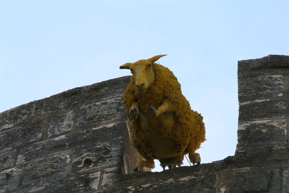 Fonds d'cran Animaux Moutons - Mouflons Saute Mouton