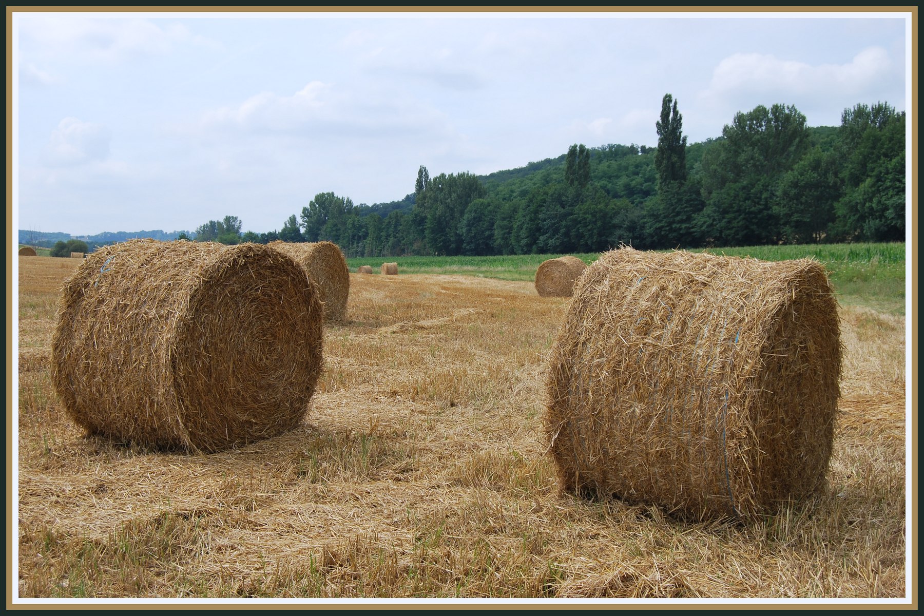 Wallpapers Nature Campaign Les meules