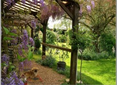 Fonds d'cran Animaux le gardin du jardin