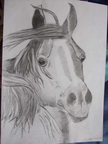 Fonds d'cran Art - Crayon Animaux - Chevaux cheval 