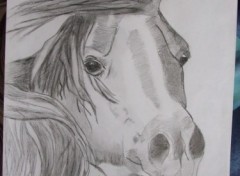 Fonds d'cran Art - Crayon cheval 