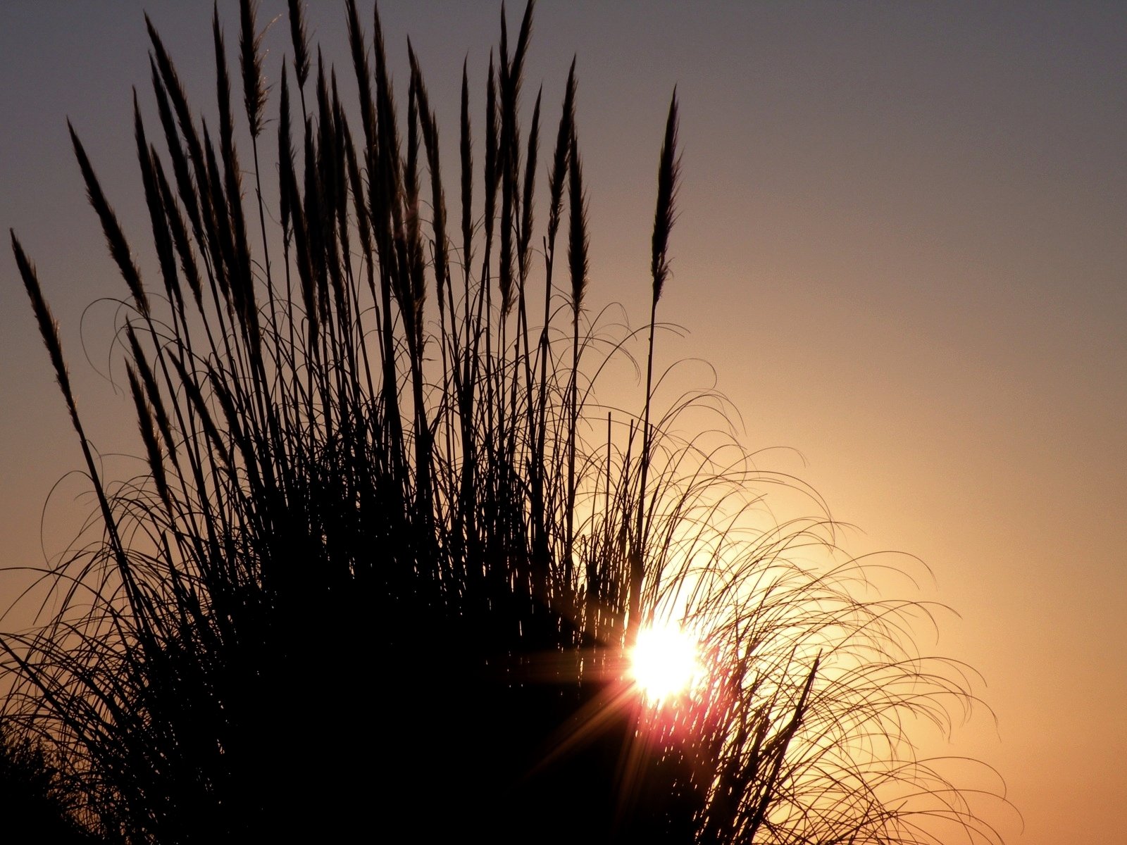 Fonds d'cran Nature Couchers et levers de Soleil Lever de Soleil  Saint Nazaire (Loire Atlantique)