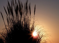 Fonds d'cran Nature Lever de Soleil  Saint Nazaire (Loire Atlantique)