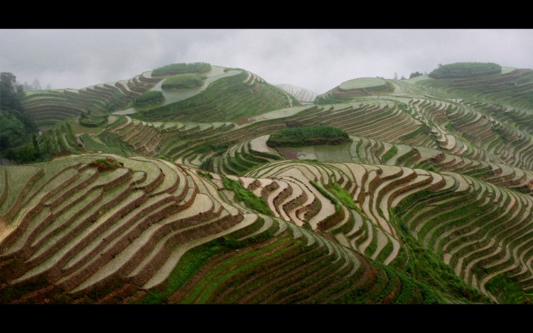 Wallpapers Nature Landscapes Banaue