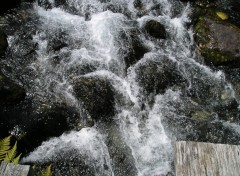 Fonds d'cran Nature PYRENEES