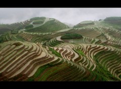 Fonds d'cran Nature Banaue