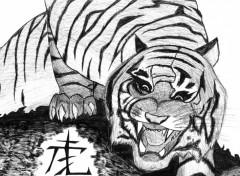 Wallpapers Art - Pencil tigre