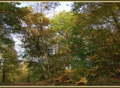 Fonds d'cran Nature Les couleurs de l'automne en Picardie