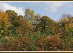 Fonds d'cran Nature Les couleurs de l'automne en Picardie