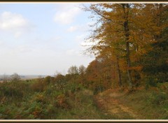 Fonds d'cran Nature Automne en fort picarde