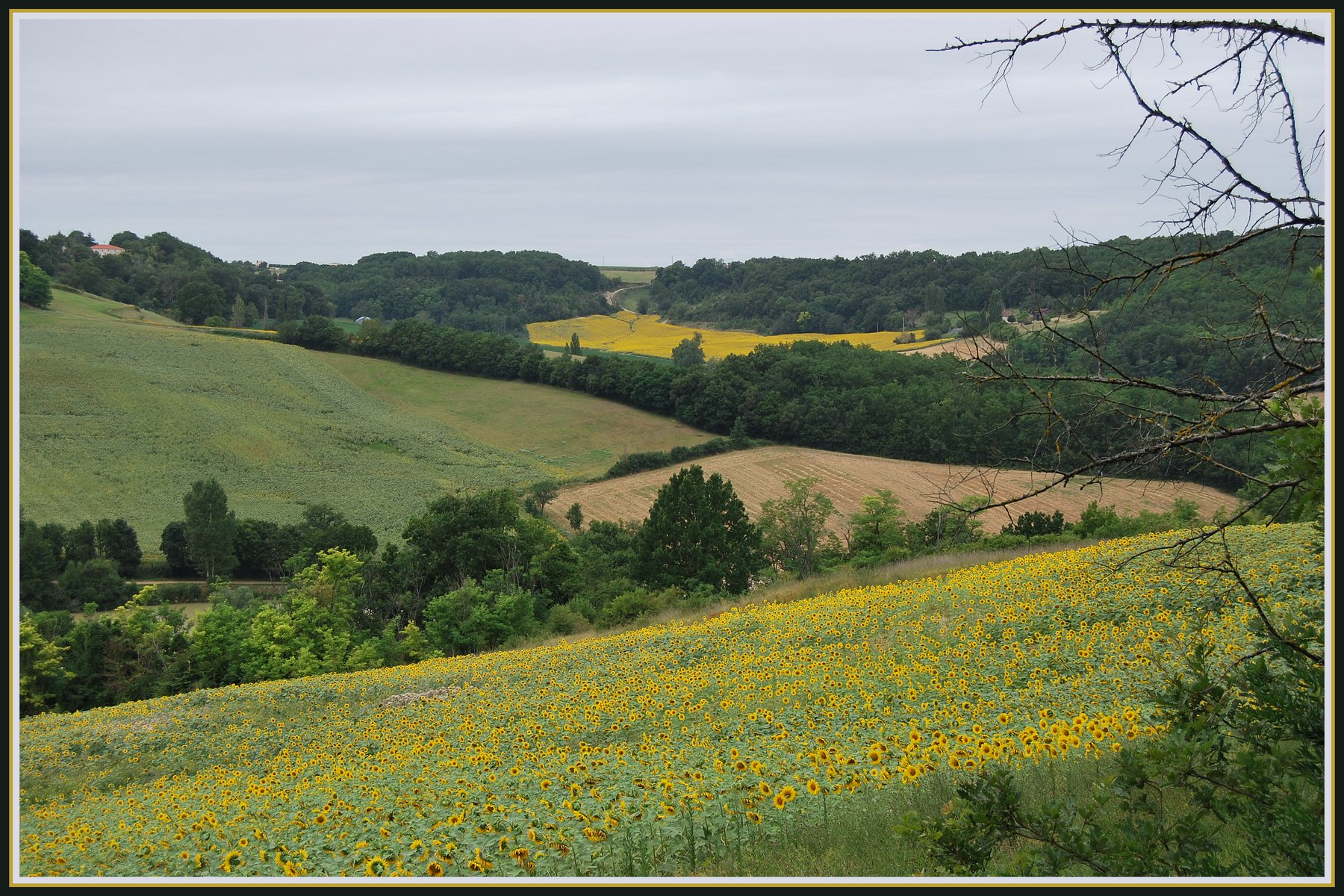 Fonds d'cran Nature Paysages Paysage du Lot-et-Garonne