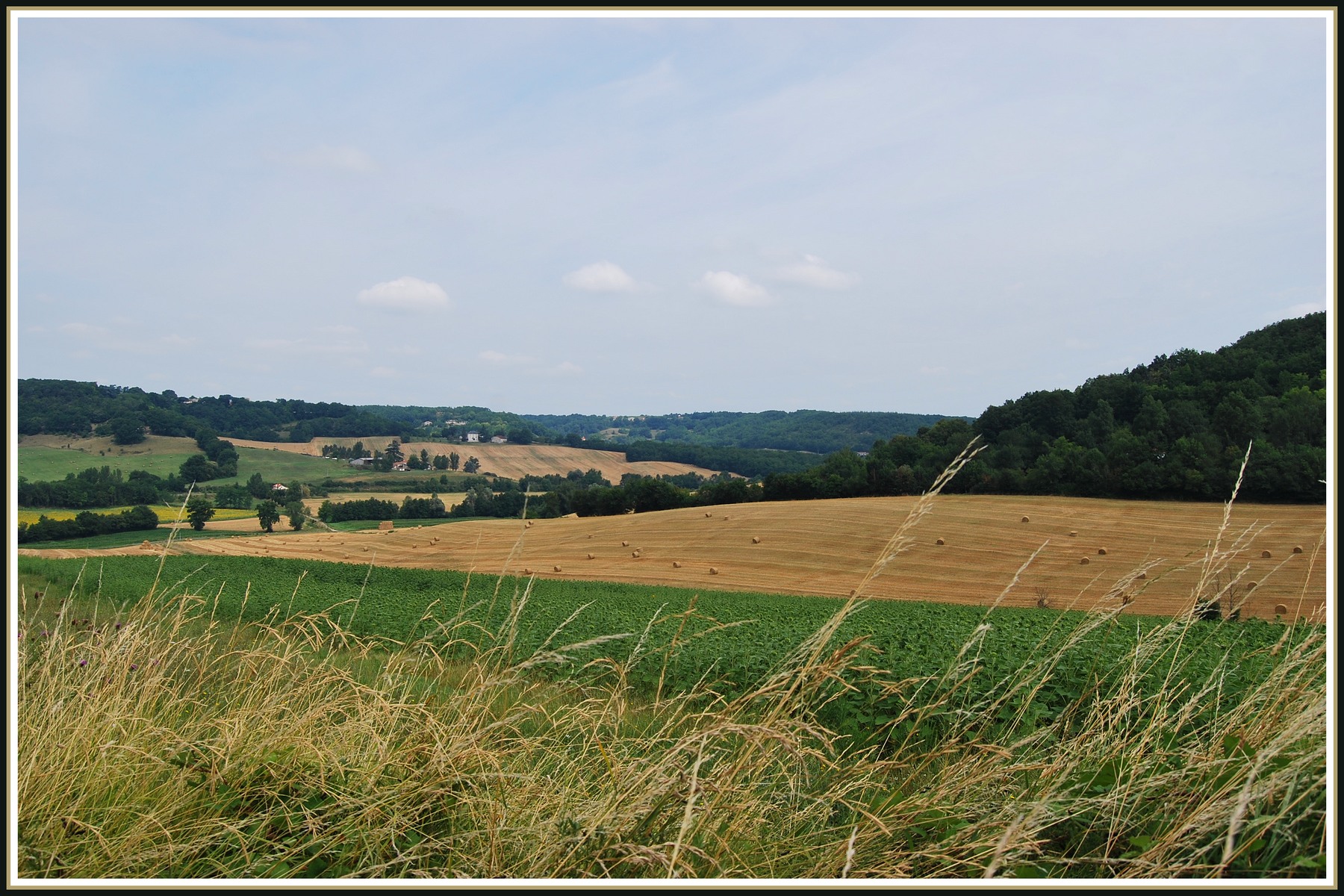 Fonds d'cran Nature Paysages Paysage du Lot-et-Garonne